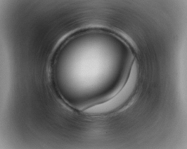 X0000113870926200910011109