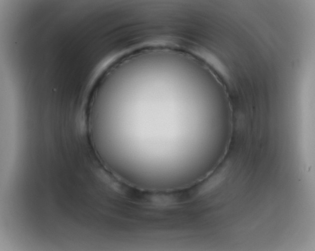 X0000113870927200910011109