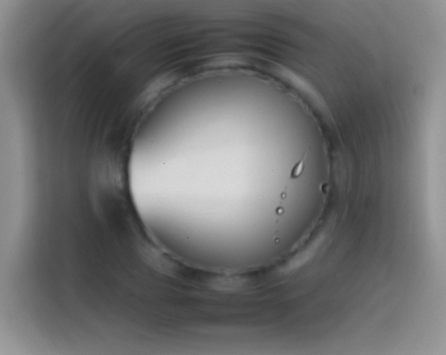 X0000113870929200910011109