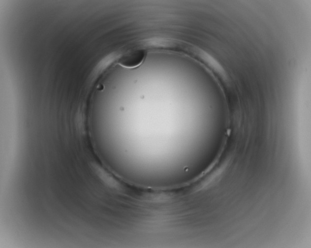 X0000113870930200910011109