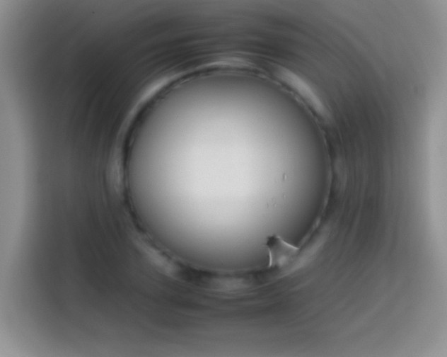 X0000113870931200910011109