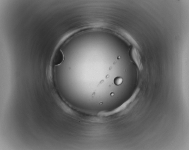 X0000113870932200910011109