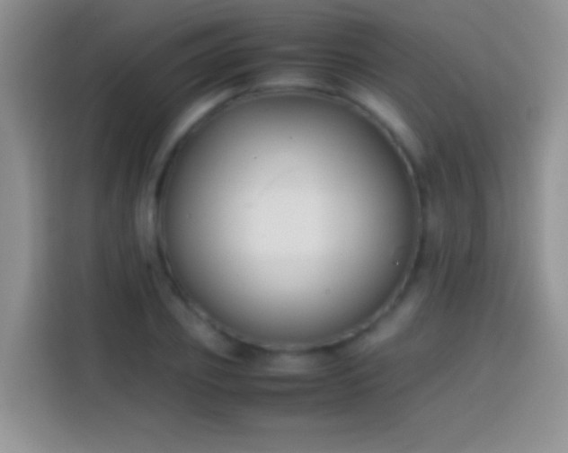 X0000113870933200910011109