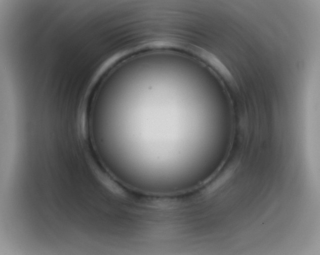 X0000113870934200910011109