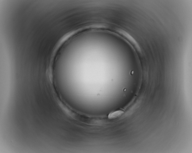 X0000113870935200910011109