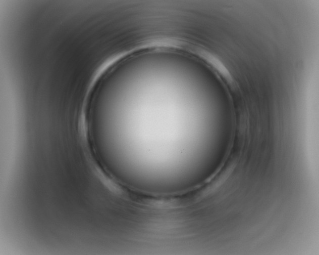 X0000113870936200910011109