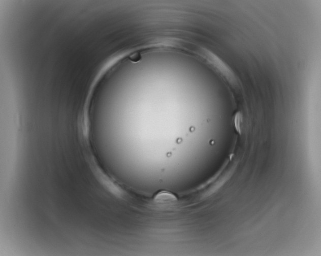 X0000113870940200910011109