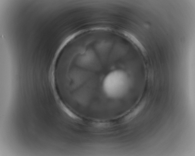 X0000113870941200910011109