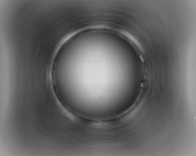 X0000113870943200910011109