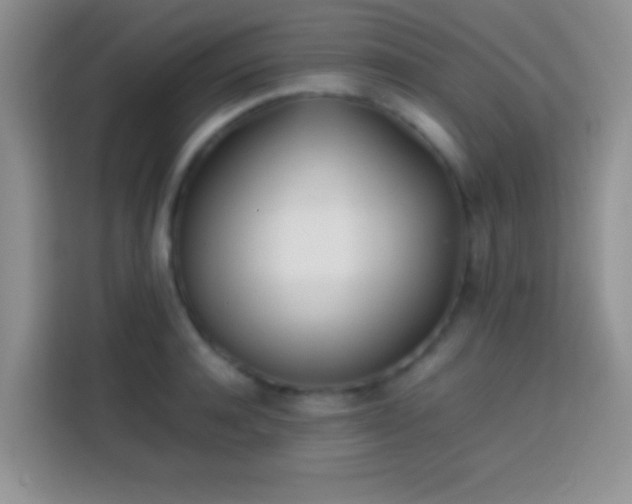 X0000113870944200910011109