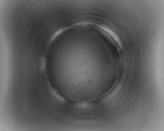 X0000113870945200910011109