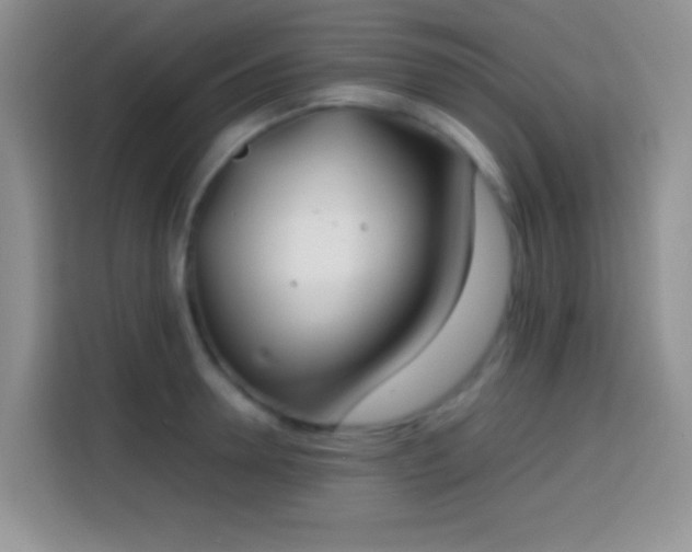 X0000113870946200910011109