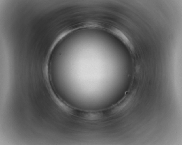 X0000113870947200910011109