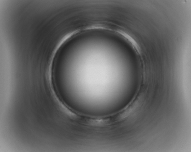 X0000113870949200910011109