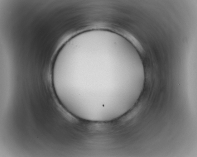 X0000113870950200910011109