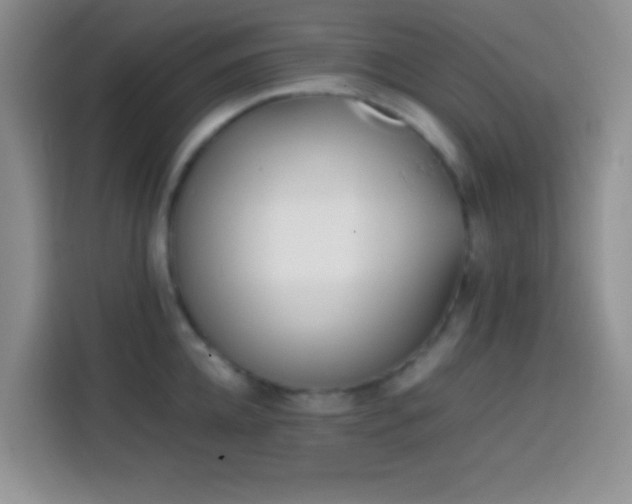 X0000113870952200910011109