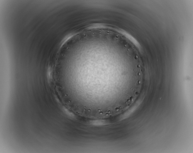 X0000113870953200910011110