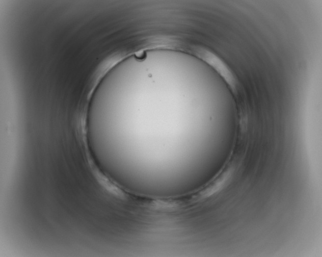 X0000113870954200910011110