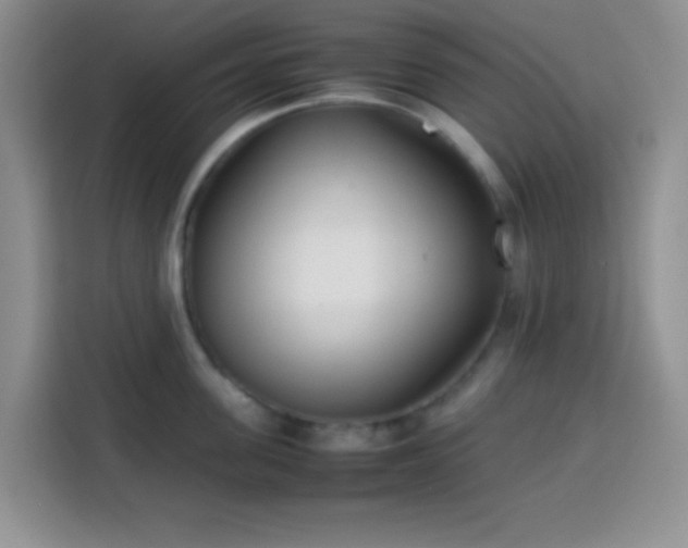 X0000113870955200910011110