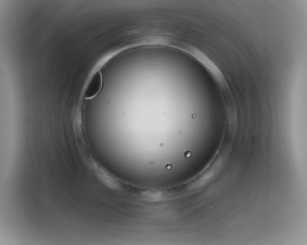 X0000113870956200910011110