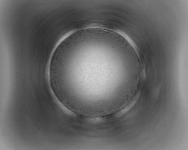 X0000113870957200910011110