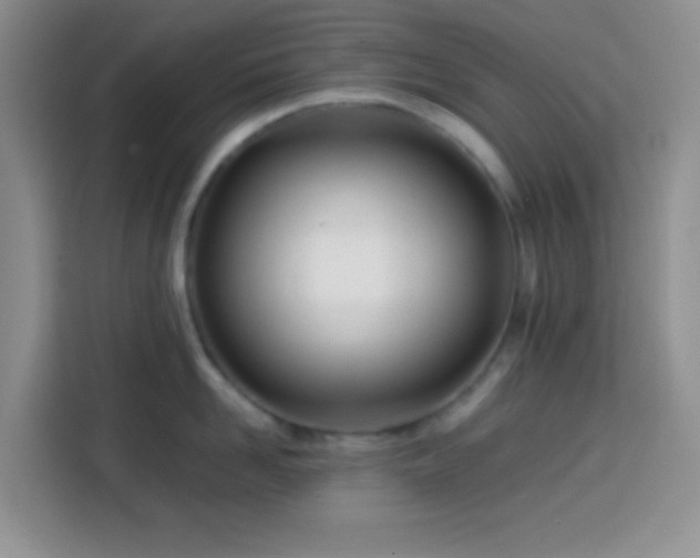 X0000113870958200910011110