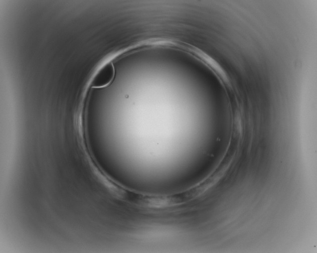 X0000113870959200910011110