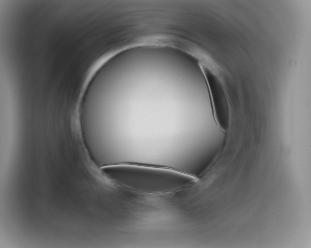 X0000113870960200910011110