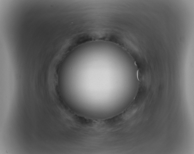 X0000113870961200910011109