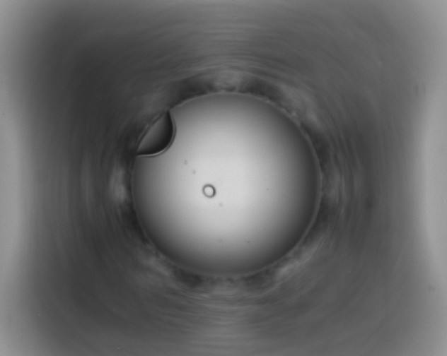 X0000113870962200910011109