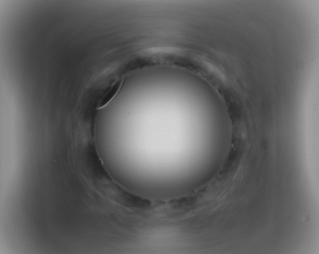 X0000113870965200910011109