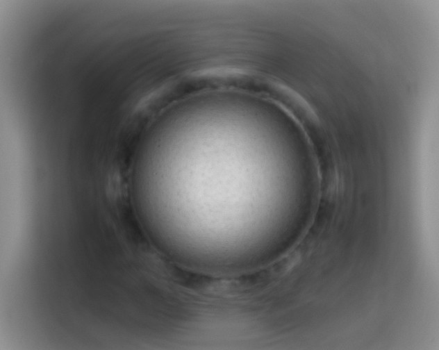 X0000113870966200910011109