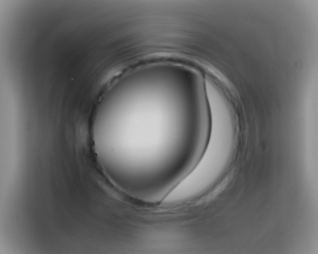 X0000113870969200910011109