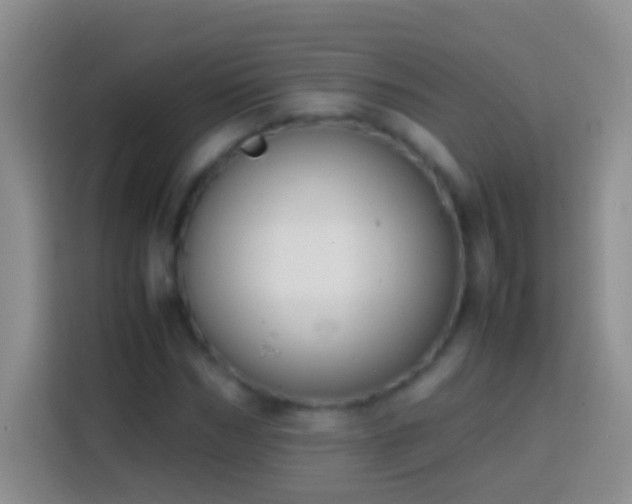 X0000113870970200910011109