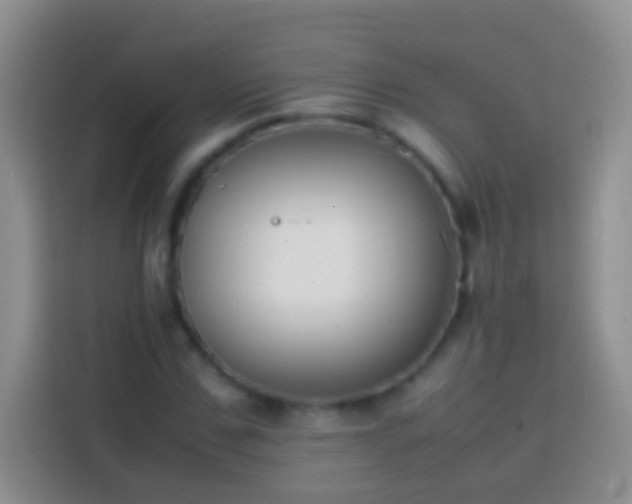 X0000113870971200910011109