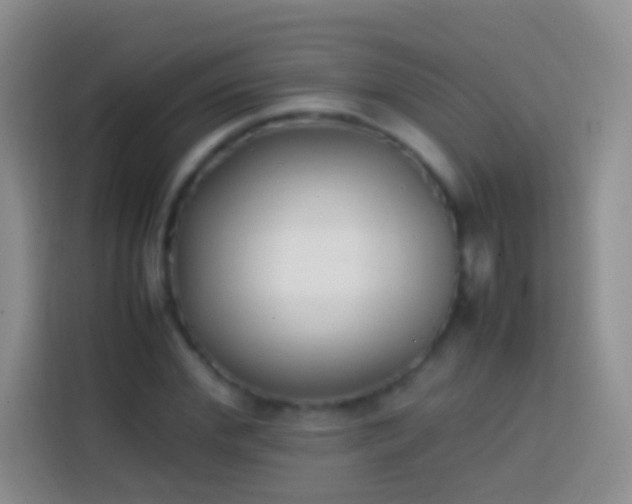 X0000113870972200910011109