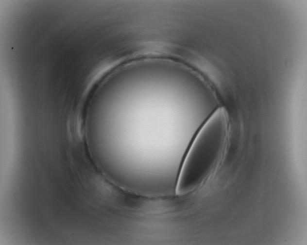 X0000113870973200910011109