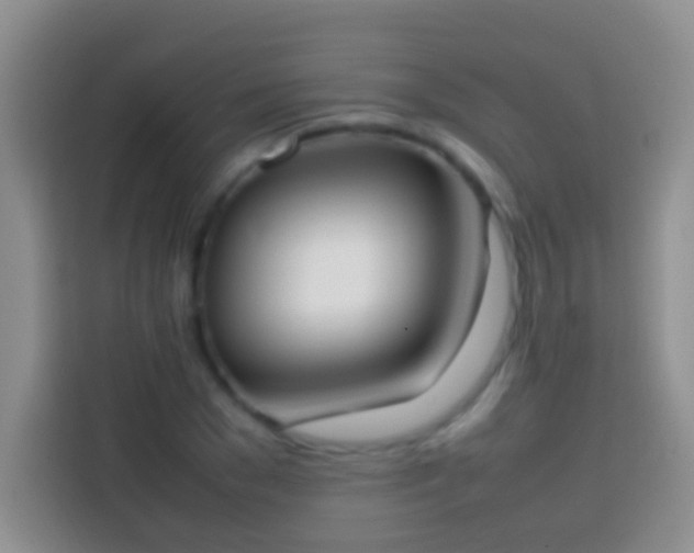 X0000113870977200910011109