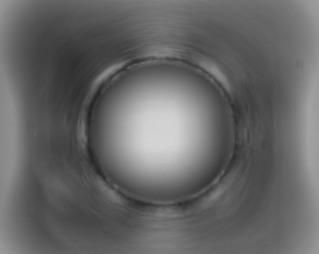 X0000113870979200910011109