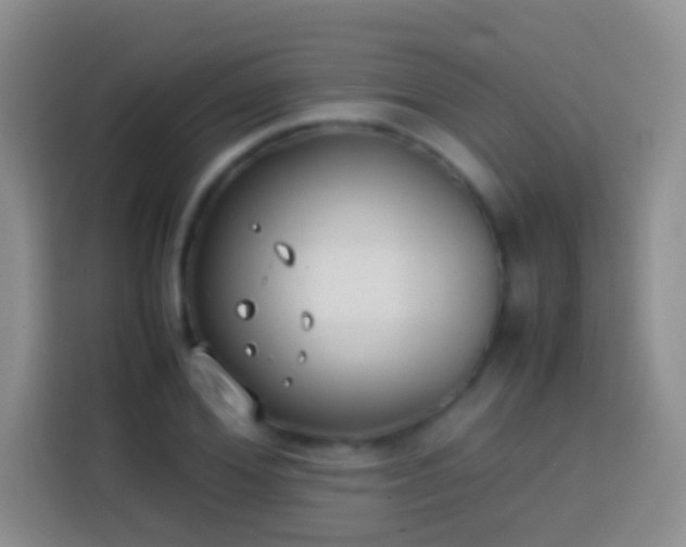 X0000113870980200910011109