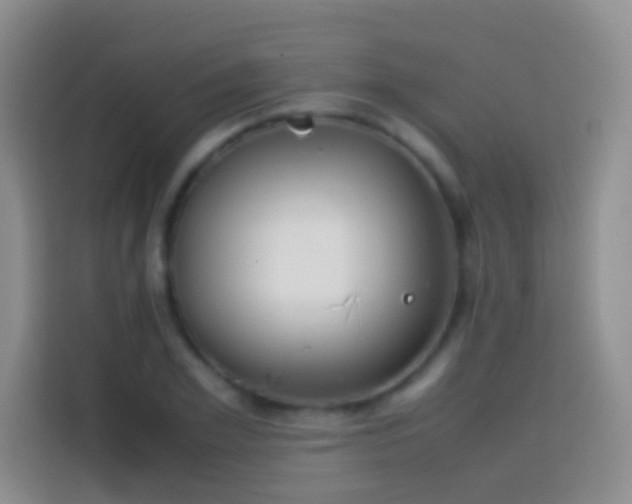 X0000113870981200910011109