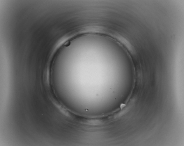 X0000113870982200910011109