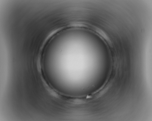 X0000113870984200910011109