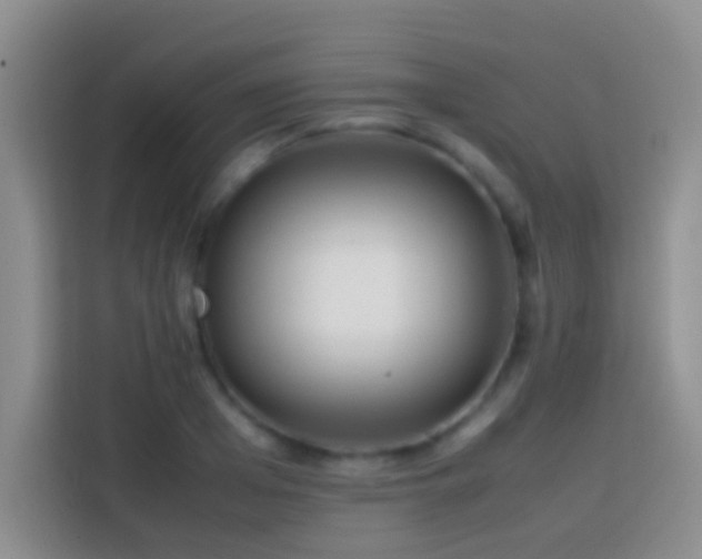 X0000113870985200910011109