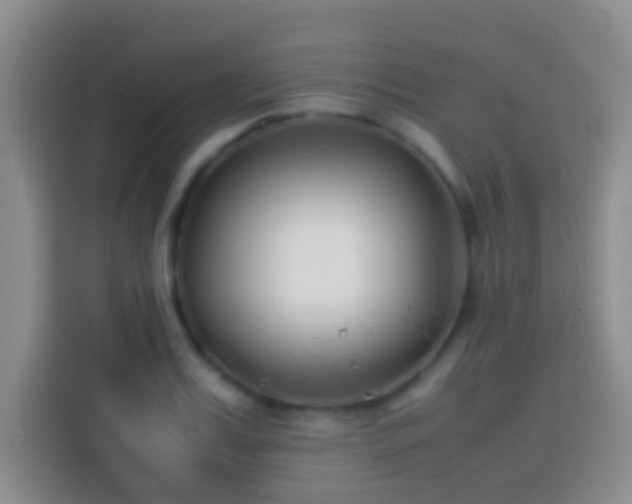 X0000113870987200910011109