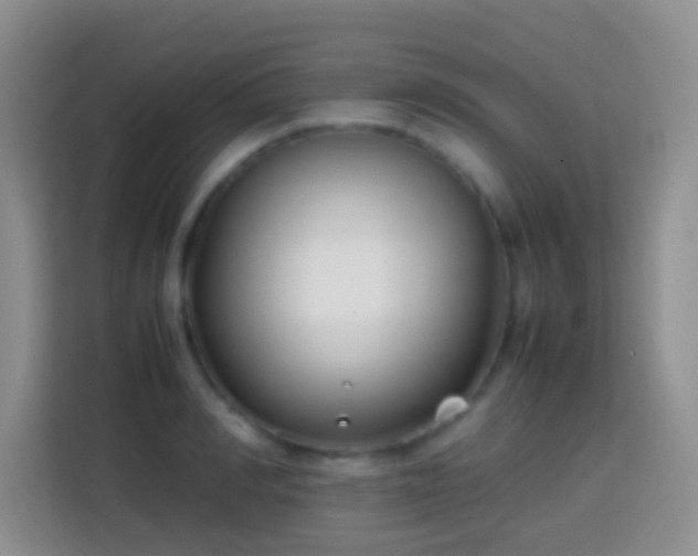 X0000113870990200910011109