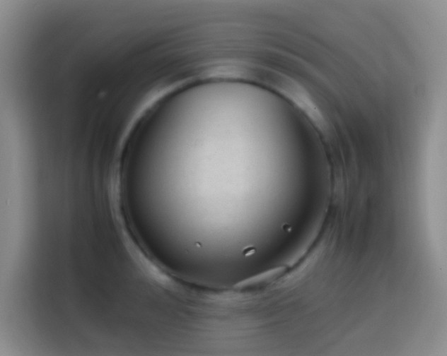 X0000113870992200910011109