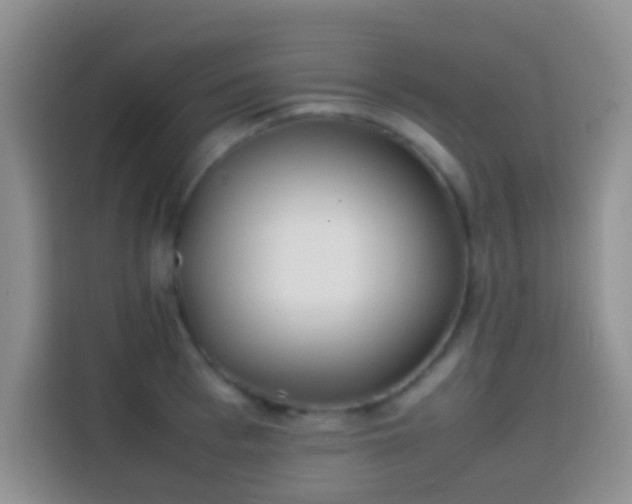 X0000113870993200910011109