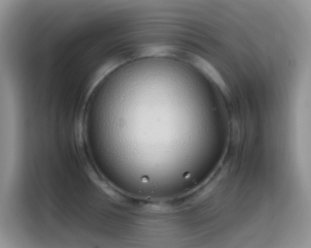 X0000113870994200910011109