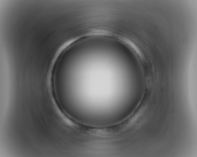 X0000113870995200910011109